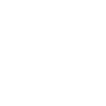 Santo Vastra logo